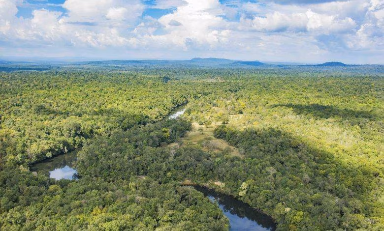 Trekking in Koh Kong & Beach Holiday