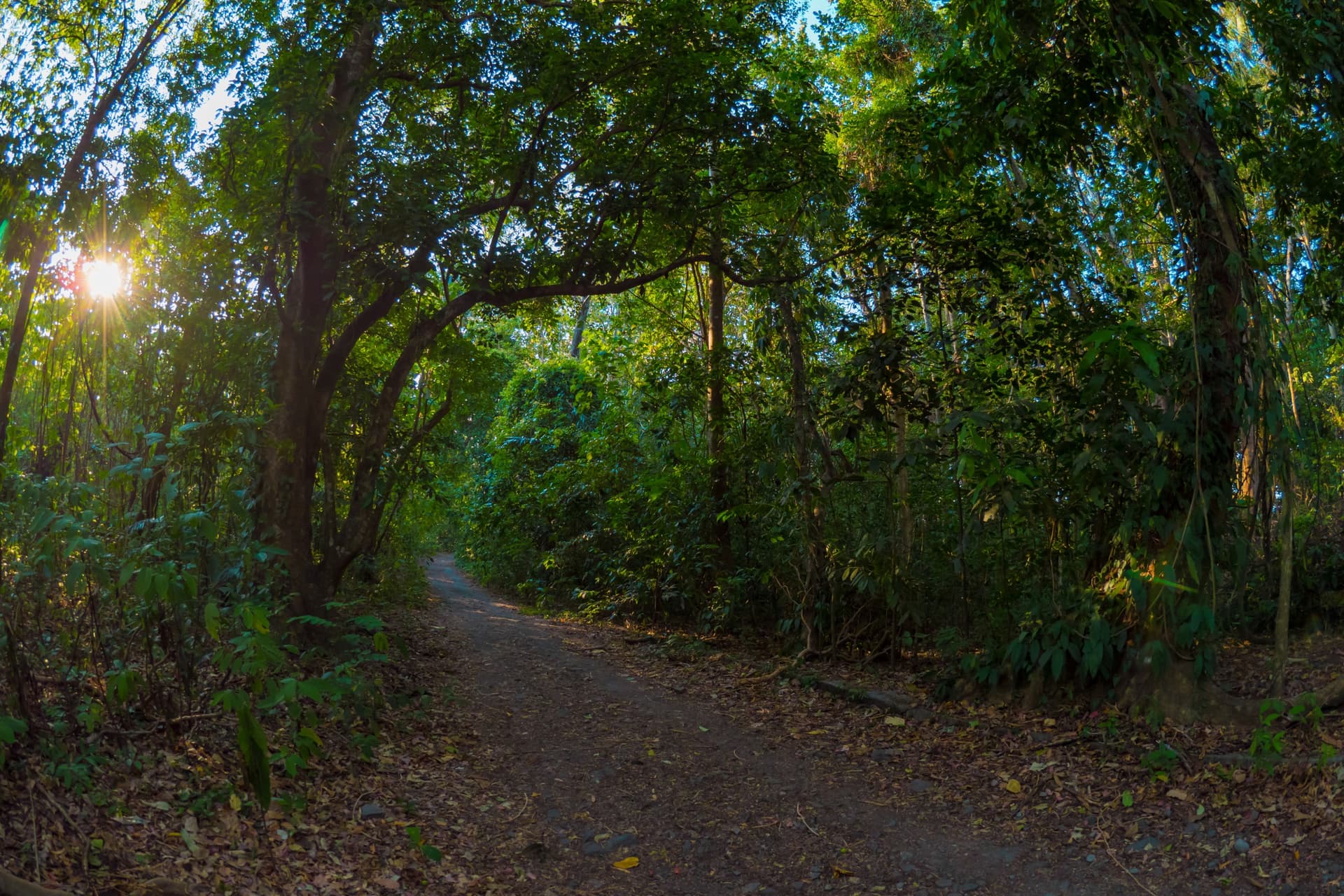 Tangkoko Batuangus Nature Reserve