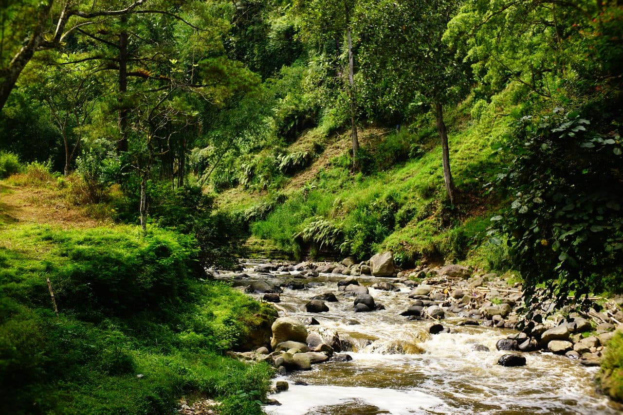 Lore Lindu National Park