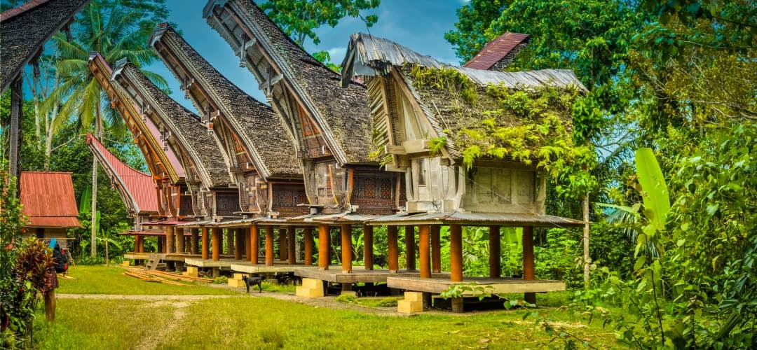 Toraja Land